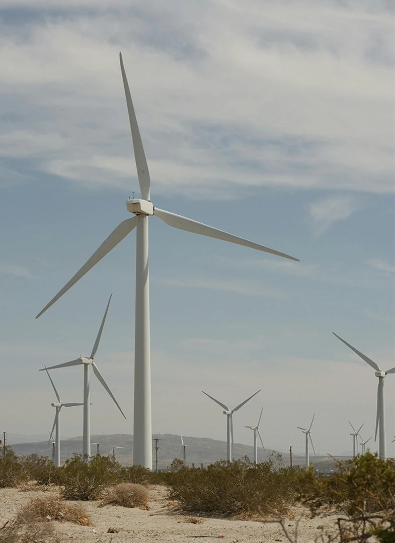 Wind Estate