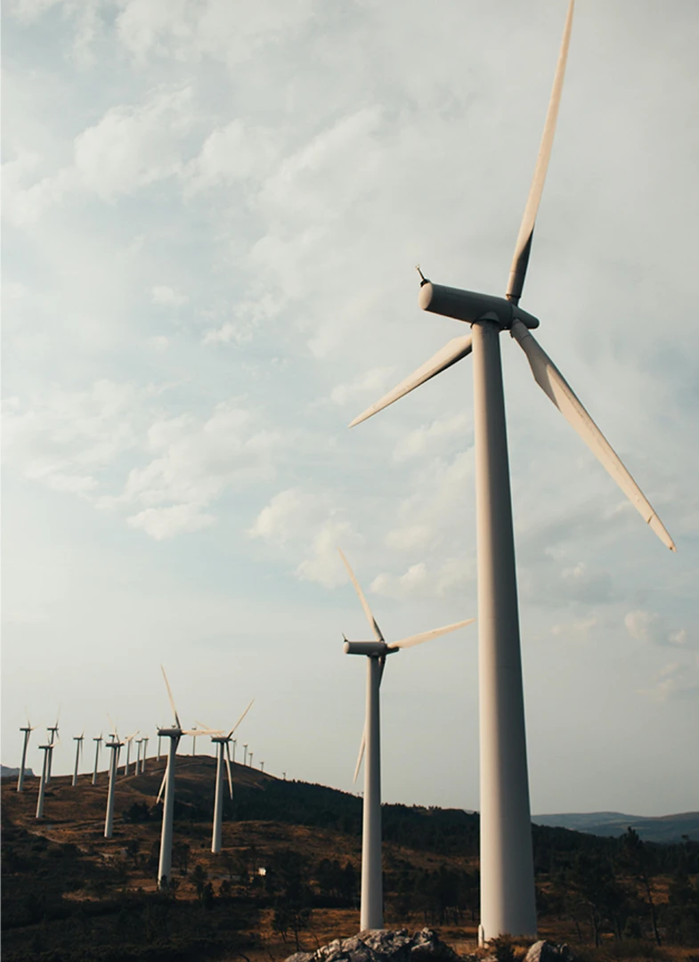 Wind Estate