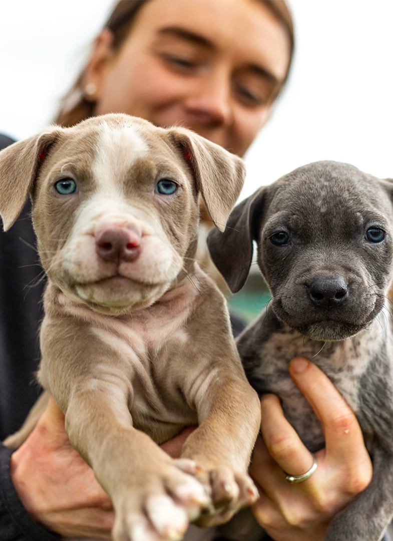 Scottish SPCA
