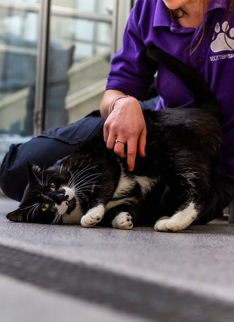 Scottish SPCA