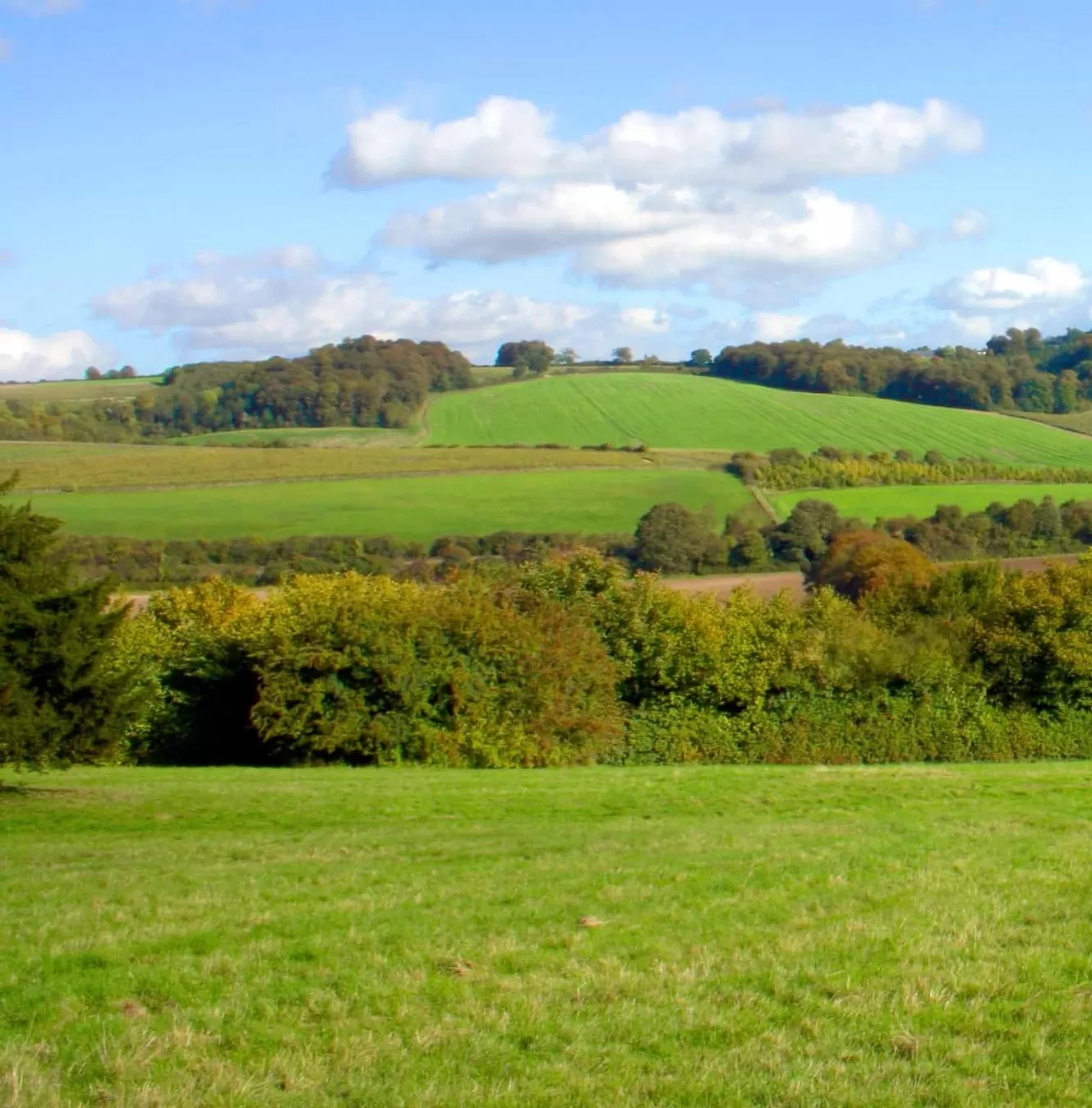 British Holiday & Home Parks Association