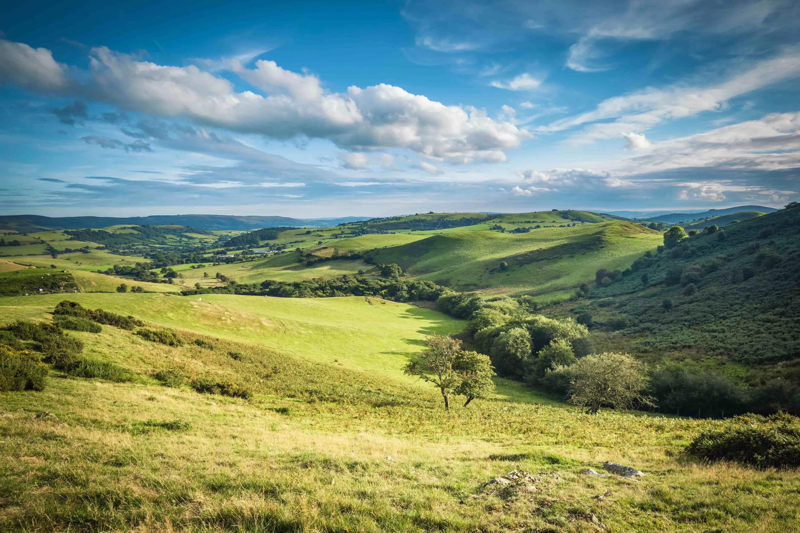 British Holiday & Home Parks Association