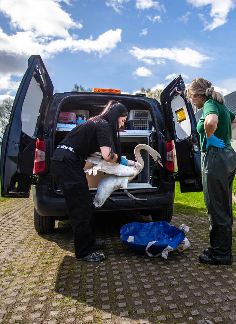 Scottish SPCA