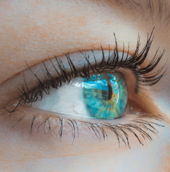 Ocutec