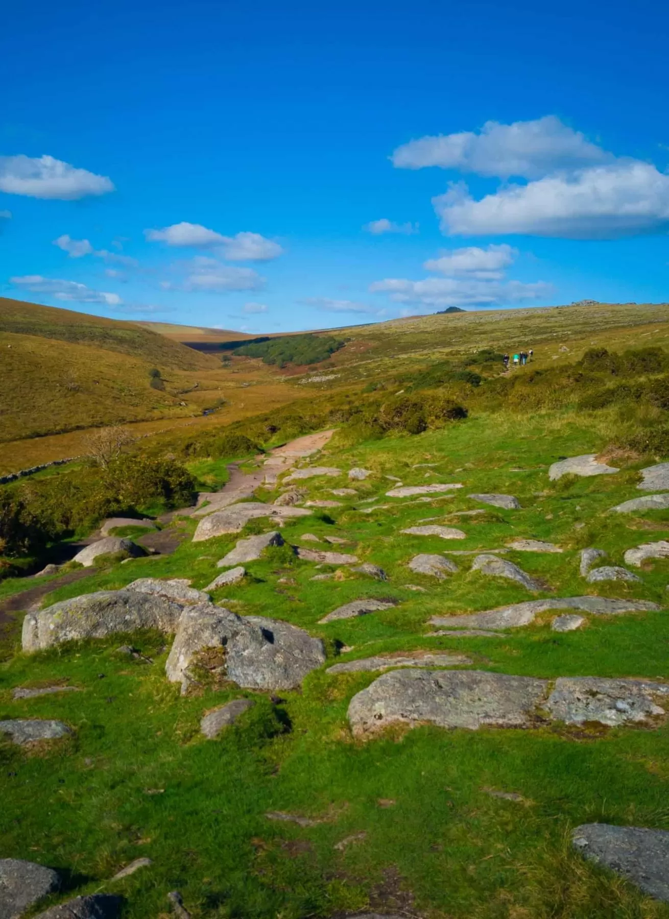 British Holiday & Home Parks Association