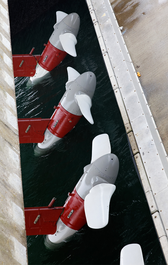 Wave and Tidal Energy Recruitment