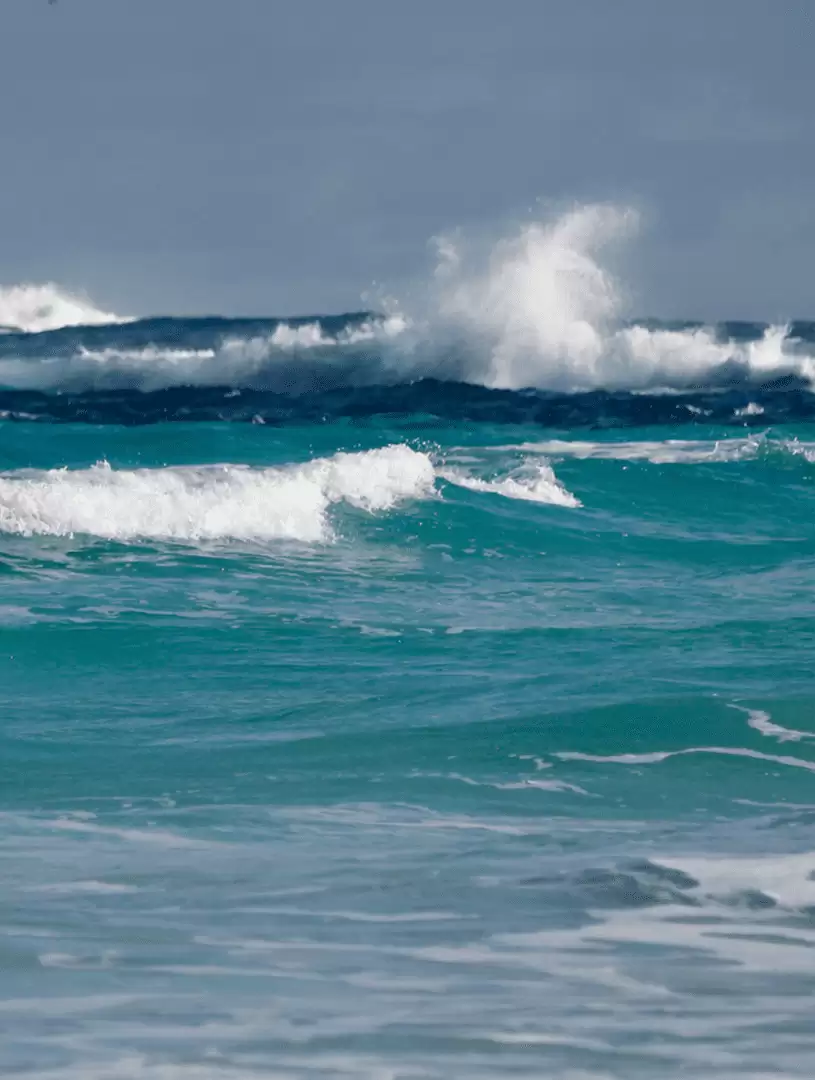 Wave and Tidal Energy Recruitment